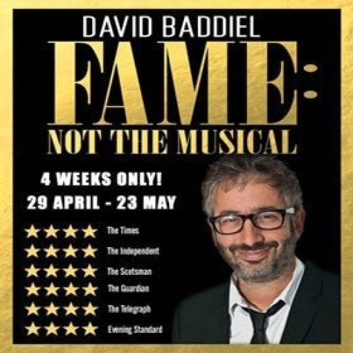 David Baddiel - Fame Not The Musical