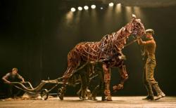 War Horse