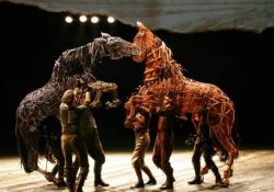 War Horse