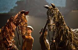 War Horse