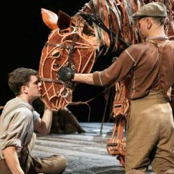 War Horse