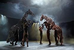 War Horse
