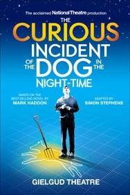 The Curious Incident of the Dog in the Night-Time