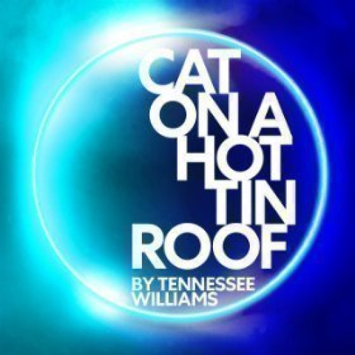 Cat On A Hot Tin Roof