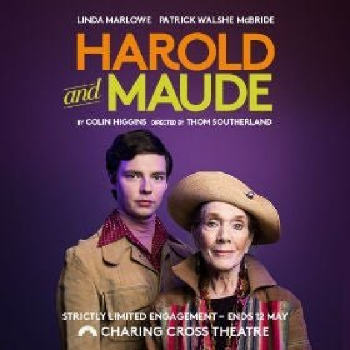 Harold and Maude Harold and Maude