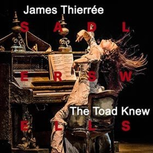 James Thierree-The Toad Knew