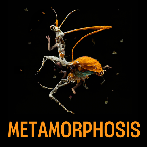 Metamorphosis