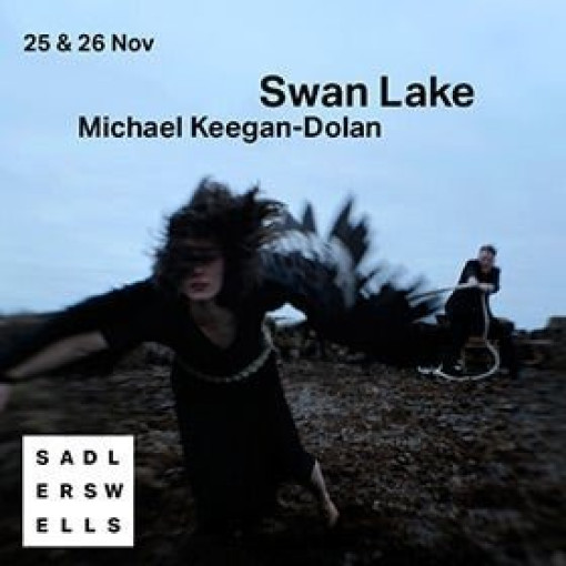 Michael Keegan-Dolan-Swan Lake/Loch na hEala