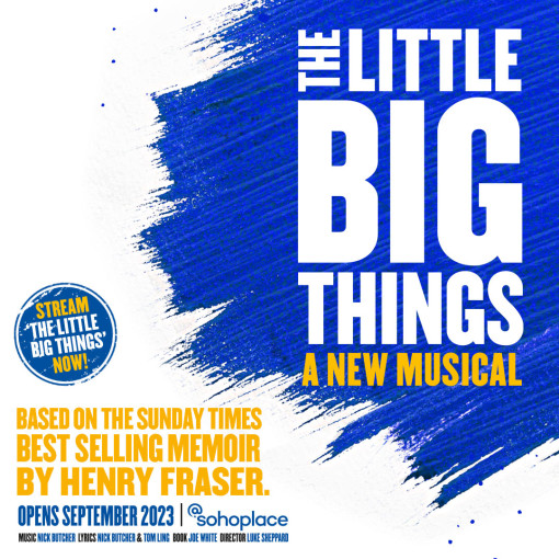 The Little Big Things The Little Big Things