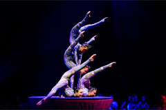 Contortionists as the Caterpillar on a round plinth in Cirque Alice, from an earlier staging