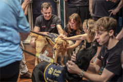 Understudy Tom Quinn and members of the company greet a yellow Labrador puppy in training. Photo by Ellie Kurttz