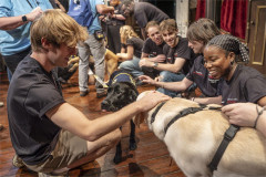 Cast members crouch to meet a black Labrador and a yellow guide dog puppy on the Cornley set. Photo by Ellie Kurttz