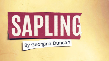 Key art for Sapling by Georgina Duncan at the Orange Tree Theatre