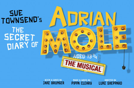 The Secret Diary of Adrian Mole
