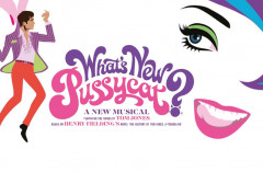 What's New Pussycat Musical