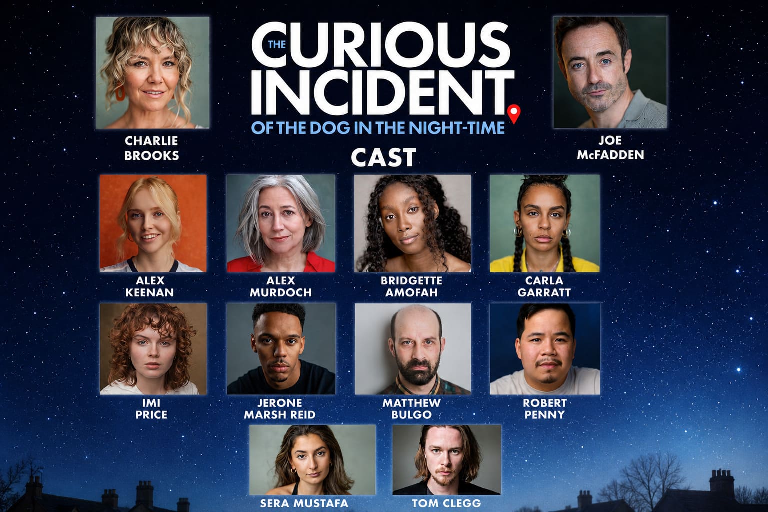 The Curious Incident of the Dog in the Night-Time