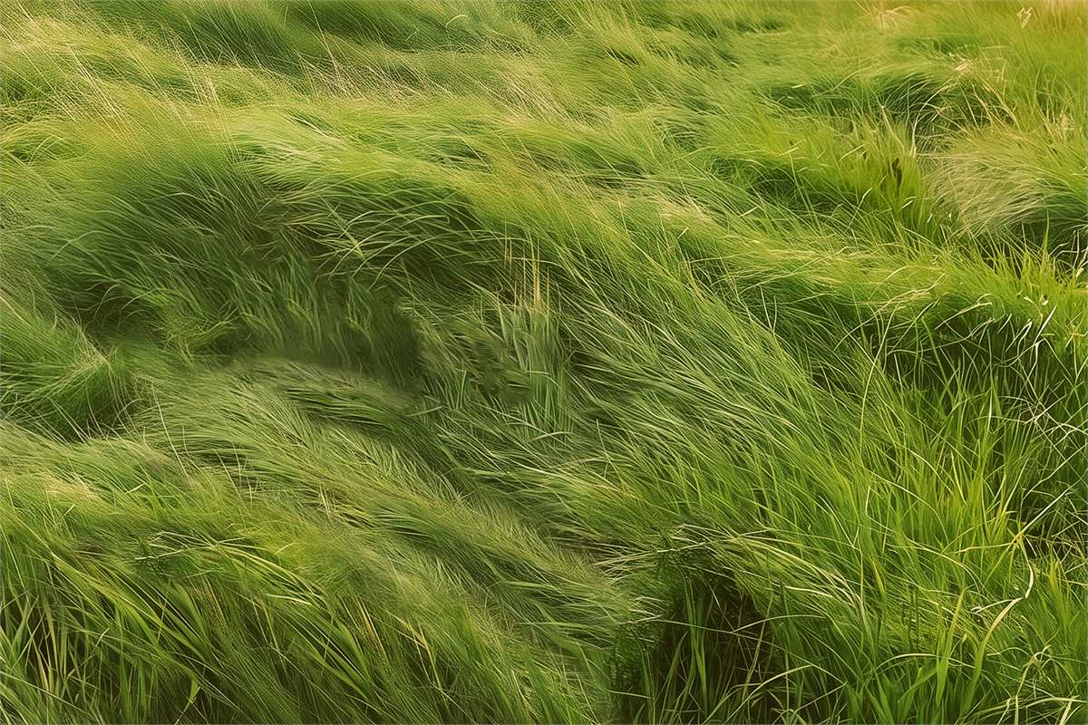 Key art for Grass, the Branden Jacobs-Jenkins world premiere at Park Avenue Armory, New York