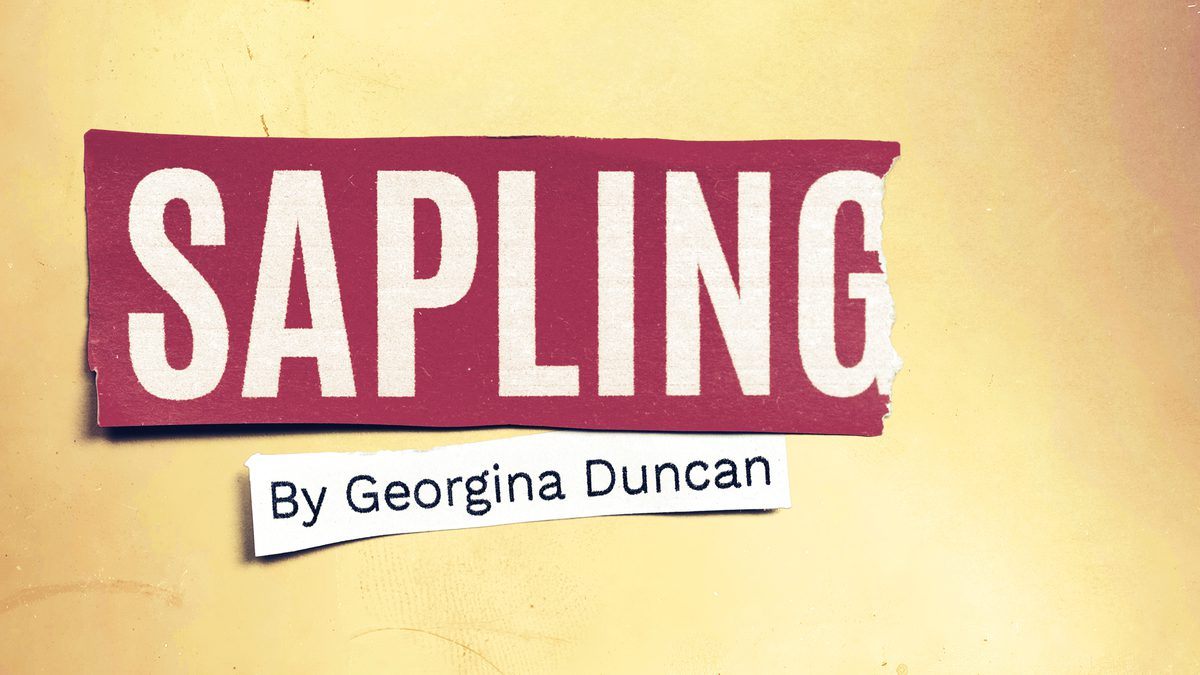 Key art for Sapling by Georgina Duncan at the Orange Tree Theatre